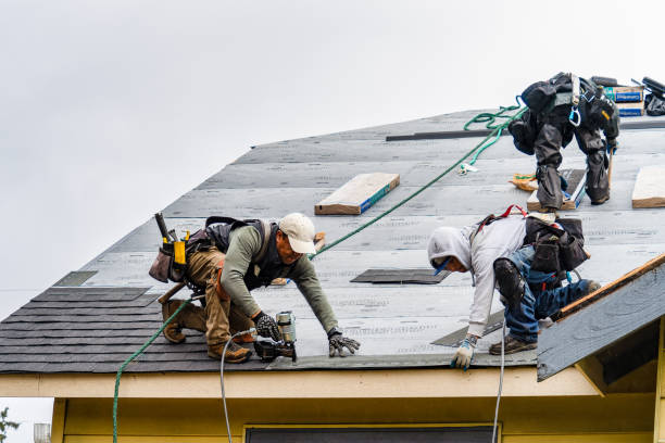 Professional Gutter Installation technician working in Dougherty, IA